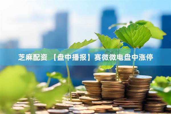 芝麻配资 【盘中播报】赛微微电盘中涨停