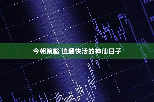 今朝策略 逍遥快活的神仙日子