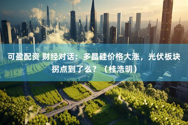 可盈配资 财经对话:多晶硅价格大涨,光伏板块拐点到了么?(桂浩明)